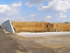 Centrali a biomasse vegetali